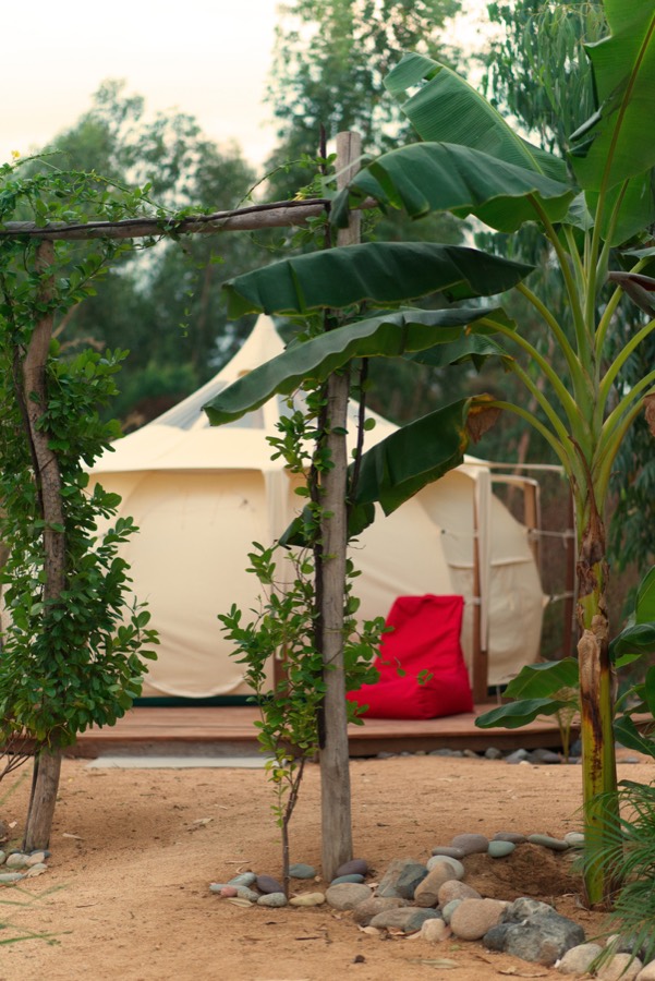 Glamping-Zelt zwischen Bananenstauden bei MARUKE